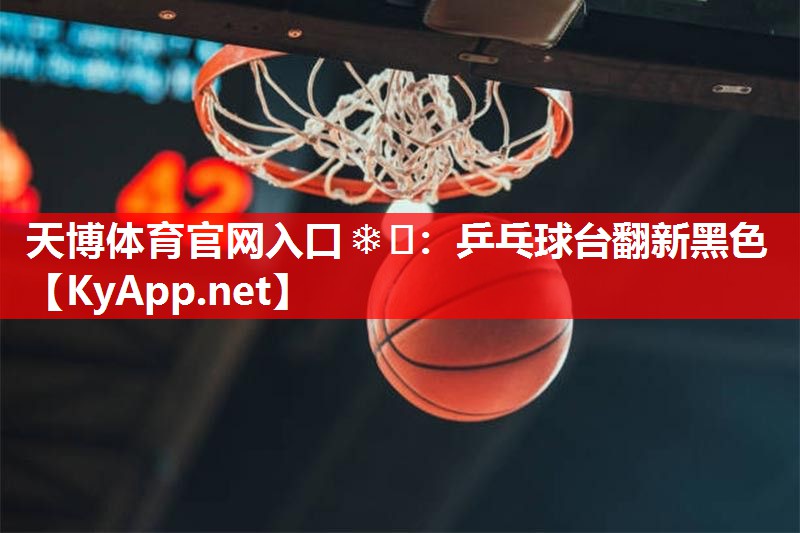 天博体育官网入口❄️：乒乓球台翻新黑色