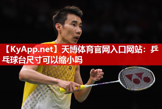 天博体育官网入口网站：乒乓球台尺寸可以缩小吗