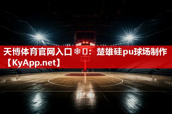 天博体育官网入口❄️：楚雄硅pu球场制作