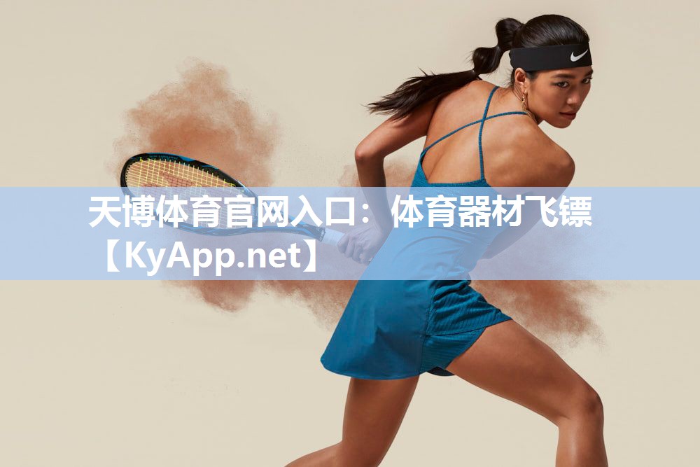 天博体育官网入口：体育器材飞镖