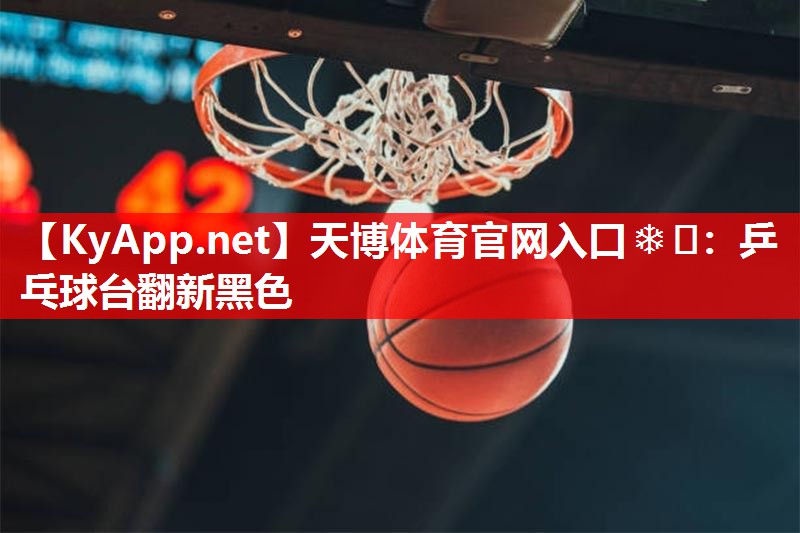 乒乓球台翻新黑色 乒乓球台翻新黑色