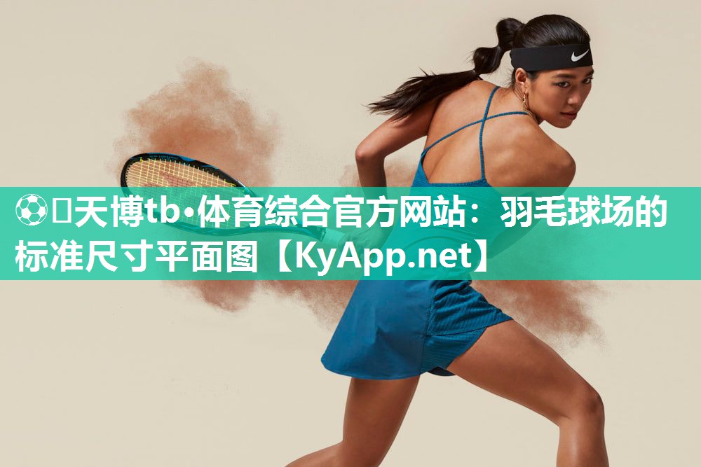 羽毛球场的标准尺寸平面图 羽毛球场的标准尺寸平面图